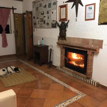 Marver الجيسايرس
